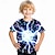 ieftine tricouri 3d pentru băieți-Băieți 3D Fulger Tricou Cămașă Manșon scurt Tipărire 3D Vară Activ Sport Modă Poliester Copii 3-12 ani Stil Nautic În aer liber Casual Zilnic Fit regulat