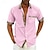 abordables camisa con botones para hombre-Hombre Camisa Abotonar la camisa Camisa de verano Negro Blanco Rosa Rojo Azul Piscina Manga Corta Bloque de color Ajedrez Cuello Vuelto Calle Casual Abotonar Ropa Deportes Moda Clásico Cómodo