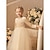 billige Festkjoker-elegante fløjl blomsterpige tyl kjoler til bryllup pailletter fødselsdagsfest a-line tutu kjoler til bryllup gæst