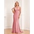 Χαμηλού Κόστους μοντέρνα φορέματα-Γυναικεία Φόρεμα για πάρτυ Νυφικό καλεσμένο Φόρεμα ριχτό από τη μέση και κάτω Μακρύ Φόρεμα Μάξι Φόρεμα Ανθισμένο Ροζ Αμάνικο Σκέτο Με Κορδόνια Καλοκαίρι Άνοιξη Φθινόπωρο Λαιμόκοψη V