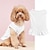 billige Hundetøj-forår/sommer tynd pet tanktop åndbar ensfarvet flæsekant nederdel søm lille og mellemstørrelse hund kat bixiong vip nederdel