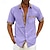 abordables camisa con botones para hombre-Hombre Camisa Abotonar la camisa Camisa de verano Negro Blanco Rosa Rojo Azul Piscina Manga Corta Bloque de color Ajedrez Cuello Vuelto Calle Casual Abotonar Ropa Deportes Moda Clásico Cómodo