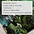 お買い得  風景タペストリー-熱帯雨林風景壁掛けタペストリー壁アート大型タペストリー壁画装飾写真背景ブランケットカーテンホームベッドルームリビングルーム装飾