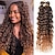 cheap Crochet Hair-2 Pack Ocean Deep Wave Crochet Hair 16 Inch Curly Braiding Hair for Crochet Braids Goddess Locs Crochet Hair Dreadlock Extensions