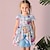 olcso Ruhák-Girls &#039; 3D Virágos Hercegnő Ruha Rózsaszín Rövid ujjú 3D nyomtatás Nyár Napi Szabadság Alkalmi gyönyörű Gyerekek 3-12 év hétköznapi ruha Kűrruha Térd feletti Poliészter Normál