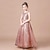 cheap Party Dresses-Kids Girls&#039; Party Dress Solid Color Long Sleeve Performance Wedding Mesh Princess Sweet Mesh Mid-Calf Sheath Dress Tulle Dress Flower Girl&#039;s Dress Summer Spring Fall 2-12 Years Pink Gold