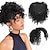 cheap Bangs-Afro Kinky Curly Short Hair Toppers with Bangs Black Clip in Synthetic Wiglets Hair Pieces for Men and Women with Thinning Hair Instant Volume and Style