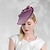 זול כובע מסיבות-סרטי ראש כובעים כיסוי ראש סיבים צלוחית כובע כובע חתונת מסיבת תה חתונה אלגנטית עם כיסוי ראש עם קשת נוצה