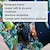 levne zvířecí tapisérie-mořská želva závěsný gobelín nástěnné umění velký gobelín nástěnná malba výzdoba fotografie pozadí deka závěs domácí ložnice dekorace obývacího pokoje