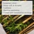 お買い得  風景タペストリー-竹風景壁掛けタペストリー壁アート大型タペストリー壁装飾写真の背景毛布カーテン家の寝室のリビングルームの装飾