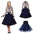 cheap Historical &amp; Vintage Costumes-50s Swing Dress With Petticoat Tutu Under Skirt Hollow Out Buttons Long Sleeve Peplum Cotton Dresses Houndstooth Midi Spring Fall Dress Rockbility Women&#039;s 2 PCS Outfits Daily Wear Tea Vintage Party