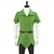 cheap Movie &amp; TV Theme Costumes-Peter Pan Cosplay Costume Theme Party Costume Men&#039;s Women&#039;s Boys Movie Cosplay Cosplay Halloween Green Halloween Carnival Masquerade Top Pants Belt