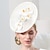 お買い得  パーティーハット-帽子帽子 シナメイソーサーハット トップハット シナメイ帽子 結婚式のティーパーティー エレガントな結婚式 羽の花のかぶと帽子