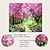 cheap Landscape Tapestry-Wall Tapestry Art Decor Blanket Curtain Picnic Tablecloth Hanging Home Bedroom Living Room Dorm Decoration Nature Landscape Garden Tree Flower Blossom Pathway