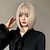 cheap Synthetic Trendy Wigs-Synthetic Wig Uniforms Career Costumes Princess Straight kinky Straight Middle Part Layered Haircut Machine Made Wig 12 inch Synthetic Hair Women&#039;s Cosplay Party Fashion Silver