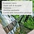 levne krajinářský gobelín-jezero les závěsný gobelín nástěnné umění velký gobelín nástěnná malba výzdoba fotografie pozadí přikrývka opona domácí ložnice dekorace obývacího pokoje