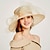abordables Tocados-tocados sombrero kentucky derby sombreros sombrero de organza sombrero flexible sombrero para el sol cóctel de vacaciones elegante vintage con gorra de diamantes de imitación tocado