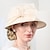 tanie Kapelusze na przyjęcia-kapelusze kapelusz typu Bucket kapelusz słomkowy kapelusz przeciwsłoneczny ślub podwieczorek elegancki ślub z nakryciem głowy w kształcie kokardy nakrycie głowy