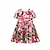 cheap Floral Dresses-Summer Kids Princess Short Sleeves Dress Cute Girls Clothing Robe Enfant Fille Child Party Girls Dresses Elegant