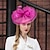 זול כובעים וקישוטי שיער-fascinators קנטאקי דרבי כובע טול רשת צלוחית כובע כובע חתונת מסיבת תה חתונה אלגנטית עם כיסוי ראש עם קשת נוצה