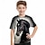Недорогие Топы-Мальчики 3D Лошадь Футболка Рубашки С короткими рукавами 3D печать Лето Активный Спорт Мода Полиэстер Дети 3-12 лет Вырез под горло на открытом воздухе Повседневные Стандартный