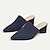 ieftine Pantofi casual dama-Pentru femei Tocuri Sandale Papuci Mărime Plus Size Pantofi Flyknit În aer liber Muncă Zilnic Dungi Toc Îndesat Vârf ascuțit Clasic Casual Confortabili Plimbare Croșet Loafer Negru Rosu Albastru