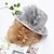 abordables Tocados-tocados sombrero kentucky derby sombreros bombín de organza / sombrero cloche sombrero de pescador sombrero de paja casual vacaciones elegante vintage con lazo de plumas tocado
