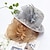 ieftine Pălării &amp; Fascinatoare-fascinators Kentucky Derby pălărie pălărie din organza bowler/cloche pălărie pălărie de găleată pălărie de paie vacanță ocazională elegantă vintage cu pene căciulă cu fundă