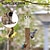 billige fugle- og dyreliv i baghaven-fuglefoder i metal til udendørs, ekstra tyk solid gennemsigtig rørføder med stålophæng, foderstation til hængende fugle til helårs vilde fugle, børstet bronze