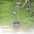 preiswerte Bodenlichter-Eisen Solar Dusche Wasserkocher Wasserhahn Blumentopf Licht Rasen Licht Hof im Freien Garten Licht