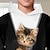ieftine Hanorace-Băieți 3D Pisica Hanorac cu Glugă Pullover Manșon Lung Tipărire 3D Primăvară Toamnă Modă Șic Stradă Misto Poliester Copii 3-12 ani Capișon În aer liber Casual Zilnic Fit regulat