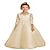billige Festkjoler-blonder tyll blomsterpike lang kjole til bryllup o-hals prinsessekjoler langermet festkjole