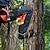 זול אביזרי פיקניק וקמפינג-מסייע לטיפוס ציד 3 שלבים, מקל טיפוס קל משקל לציד, סולם חבלים עם רצועות ציד, סולם חבלים לטפס על עצים לספורט חוץ טיפוס צוקים טיפוס הרים