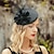 cheap Headpieces-Hats Headwear Headdress Tulle Fiber Straw Hat Saucer Hat Veil Hat Wedding Tea Party Elegant Wedding With Butterfly Lace Side Headpiece Headwear