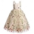 tanie Sukienki imprezowe-Koronkowa sukienka dla dziewczynki w kwiaty dla dzieci wesele korowód party sukienki komunijne suknia maxi dla księżniczki i druhny