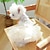billiga Hundkläder-husdjur cirkel hund katt och katt kläder fluffig gasväv kjol bröst och rygg formell klänning bröllopsklänning samling