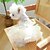 cheap Dresses-Dog Cat Wedding Dress Cute Party Winter Breathable Soft Washable Comfortable Outdoor Wedding Party Casual Daily Dog Clothing for Bichon Frise Pomeranian Baby Pet Papillon Small