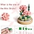 levne Sochy-Stavebnice růžového bonsaje - botanická kolekce pro dospělé a dospívající &amp; dívky