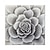 abordables Peintures fleurs/botaniques-Peinture à l'huile faite à la main sur toile, décoration murale moderne abstraite, fleurs noires, blanches et grises pour la décoration intérieure, peinture roulée sans cadre, non étirée
