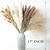 cheap Down to $30-110 pcs Pampas With White Dried Rabbit Tail Flowers Boho Style Decoration Pampas Grass Bathroom Decoration Bathroom Wall Decor Wedding Vase For Bride And Bridesmaids Living Room Decoration Party Decor