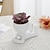 preiswerte Vasen &amp; Korb-Sukkulenten-Puppenpflanzgefäße verleihen Ihrem Schreibtisch mit diesem kreativen Dekorationsstück mit lebensechten Pflanzen einen Hauch von Laune und sorgen für einen einzigartigen und charmanten