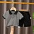 voordelige Sets-2-delig Peuter Jongens T-shirt &amp; shorts Kleding Effen Kleur Korte mouw Katoen Set Buiten Modieus Zomer Lente 1-3 jaar oud ijsset wit Yuanchuang-berenset zak camouflage geel