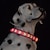 お買い得  家庭用器具-ペット用品 発光首輪 スカルヘッド 充電式犬の首輪 防水犬の首輪 点滅犬チェーン 発光首輪
