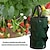 cheap Garden &amp; Urban Farming-Grow Bag Hanging Planter Bag with Handles Multi Planting Holes Strawberry Planting Container Foldable Durable Growing Bags Grow Planter for Growing Vegetables Fruits Flowers Herb Plant