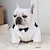 cheap Dog Clothes-Wedding Dog Suit Wedding Dog Decoration Dog Clothes Boy Handsome Celebration corgi Pomeranian Teddy