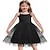 cheap Party Dresses-Toddler Tutu Dress Little Girl Ruffled Tulle Cami Dresses Princess Party Sundress for 2-6 Years