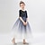 cheap Party Dresses-Kids Girls&#039; Party Dress Galaxy Long Sleeve Formal Performance Anniversary Fashion Adorable Princess Cotton Flower Girl&#039;s Dress Summer Spring Fall 2-13 Years Black short style Navy V-neck mid-sleeve
