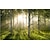 cheap Nature&amp;Landscape Wallpaper-Cool Wallpapers Beam Forest Landscape Wallpaper Wall Mural Roll Sticker Peel Stick Removable PVC/Vinyl Material Self Adhesive/Adhesive Required Wall Decor for Living Room Kitchen Bathroom