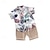 preiswerte Sets-2 Stück Baby Jungen T-Shirt &amp; Shorts Outfit Blatt Kurzarm Baumwolle Set Schulanfang Modisch Sommer Frühling 1-3 Jahre alt Schwarz Weiß Gelb