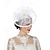お買い得  ヒストリカル＆ビンテージコスチューム-レトリ／ヴィンテージ 1950年代風 1920年代風 魅惑的な帽子 ベールヘッドバンド 帽子 結婚式 女性用 カーニバル イベント／パーティー 帽子